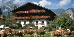 Almabtrieb Reith Im Alpbachtal Alpbachtal Tourismus